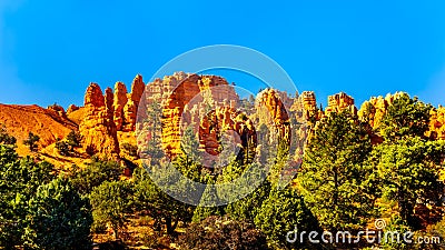Sunset over the Vermilion Colored Hoodoos at the Mossy Cave Trailhead of Bryce Canyon National Park, Utah Stock Photo