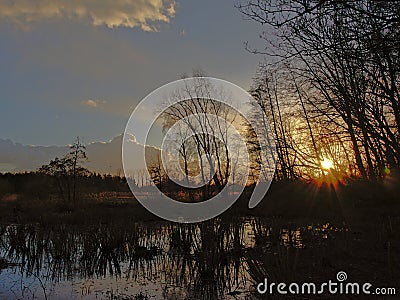 Sunset over winter wetland landscape with bare tree silhouettes reflecting in the water Stock Photo