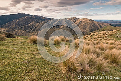 Sunset over Wither Hills in Marlborough, New Zealand Stock Photo