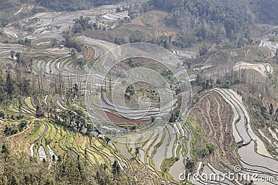 Sunset over YuanYang rice terraces in Yunnan, China, one of the latest UNESCO World Heritage Sites Stock Photo