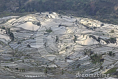 Sunset over YuanYang rice terraces in Yunnan, China, one of the latest UNESCO World Heritage Sites Stock Photo