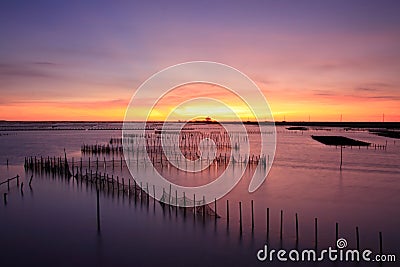 Sunset on oyster rack Stock Photo