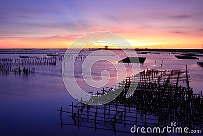 Sunset on oyster rack Stock Photo