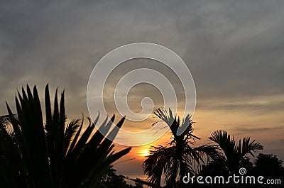 Sunset with palms thailand colorfull coast tropical Stock Photo