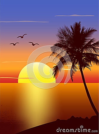 Sunset with palmtree silhouette Vector Illustration