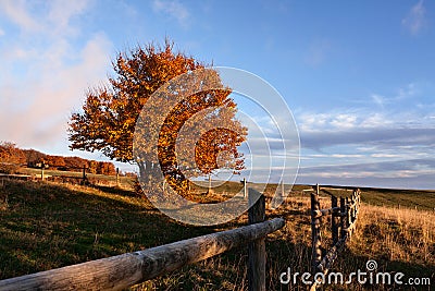Sunset in the park of Monti San Vicino and Canfaito, Italy Stock Photo