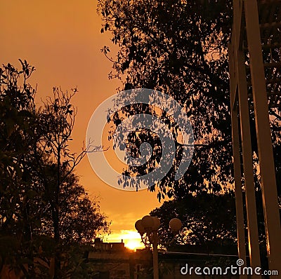 Sunset from a patio in san miguel de allende guanajuato with amazing orange sky and plants tree contrast Stock Photo