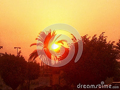 Sunset photo Stock Photo