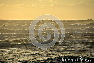 Sunset at piha beach in New Zealand Stock Photo