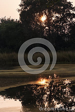 The sunset reflects on a lake inside the forest Stock Photo