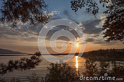 Sunset on the river. Summer sunny evening. Pine branches in the foreground Stock Photo