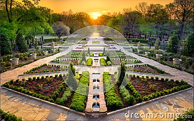 Sunset in the Rose Garden Stock Photo