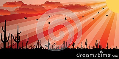 Sunset with Saguaro Cactus. Vector Illustration