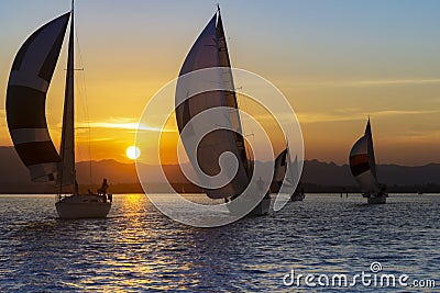 Sunset sailing in Tauranga New Zealand Stock Photo