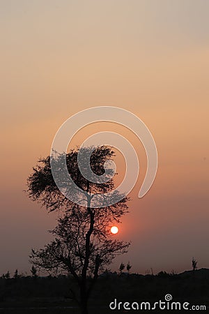 The sunset scene Stock Photo