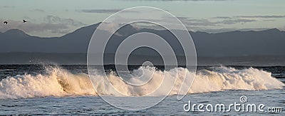 Sunset Seascape. Powerful ocean wave on the surface of the ocean. Wave breaks on a shallow bank. Stormy weather, stormy clouds sky Stock Photo