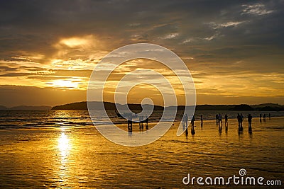 Sunset on the seashore.People are looking for beautiful shells on the bottom at low tide Editorial Stock Photo