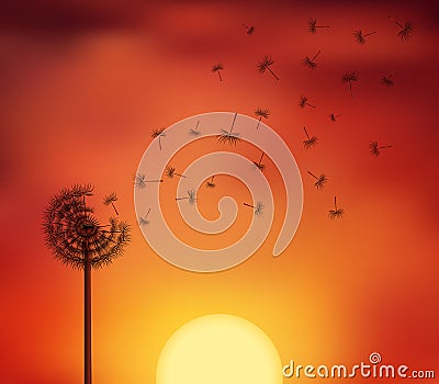 Sunset seed escape Vector Illustration