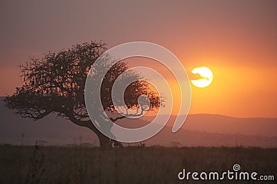 Sunset Serengeti NP, Tanzania Stock Photo