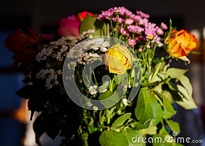 Sunset shines on colorful bouquet of flowers Stock Photo