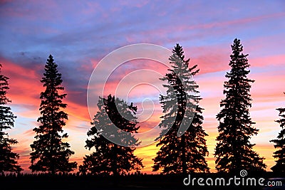 Sunset Silhouette, Brandon, Manitoba Stock Photo