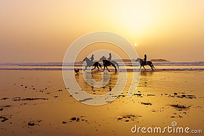 Sunset silhouette of horses and riders, beach of Essaouira Editorial Stock Photo