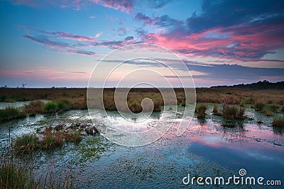 Sunset sky over bog Stock Photo