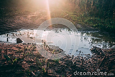 Sunset small puddle Stock Photo