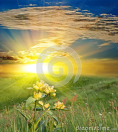 Sunset in a steppe Stock Photo