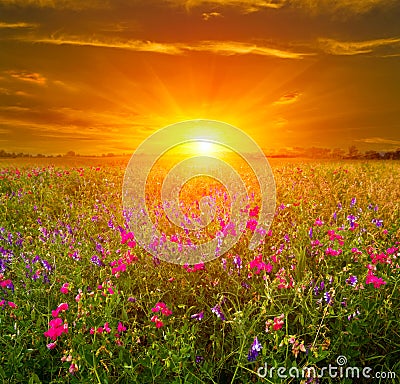 Sunset in steppe Stock Photo