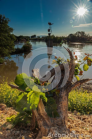 Sunset storks & the river Stock Photo