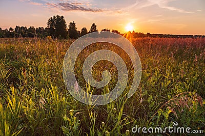 Sunset in summer field. Nature background Stock Photo