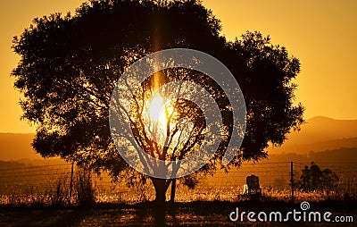 Sunset sun setting behind mountains and one tree countryside Stock Photo
