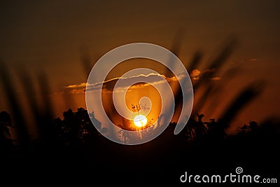 Sunset Stock Photo