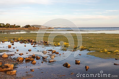 Sunset on the Thau pond towards La Conque in Meze - Herault - Occitania - France Stock Photo