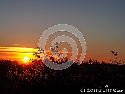 Sunset the time in the evening when disappears or daylight fade Stock Photo