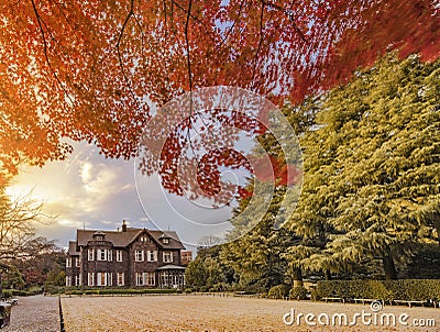 Sunset on Tokyo Metropolitan Park KyuFurukawa`s old western-style mansion at red maple momiji leaves season in autumn Stock Photo