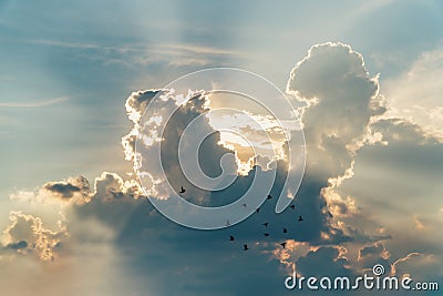 Sunset with towering cumulus clouds and a flock of bird in the f Stock Photo