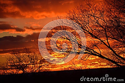 Sunset Tree Silhouette, Deep Fiery Red Orange Sunset Stock Photo