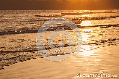 Sunset on tropical beach in Sri Lanka - golden color waves sea water illuminated by the sun. Stock Photo