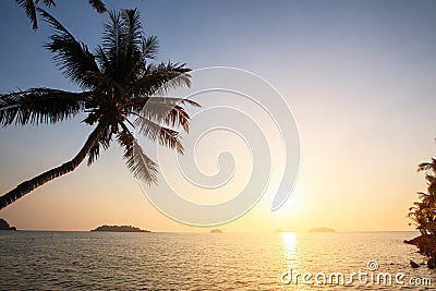 Sunset on the tropical coast with silhouettes of palm tree over water. Nature. Stock Photo