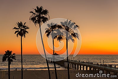 Sunset under palm trees and Manhattan Beach Pier Stock Photo