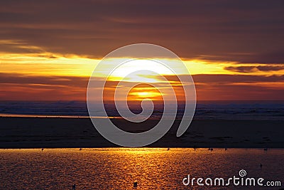 Sunset, very yellow, from the beach and a pond Stock Photo