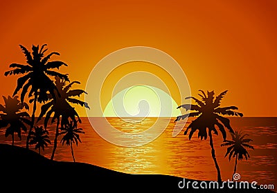 Sunset view in beach with palm tree Stock Photo