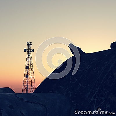 Sunset view of a bird and a tower Stock Photo