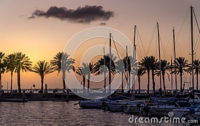 Sunset view of the marina with silhouettes of palms and boats Editorial Stock Photo