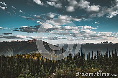 Sunset View from Mount Revelstoke across forest with blue sky and clouds. British Columbia Canada. Stock Photo