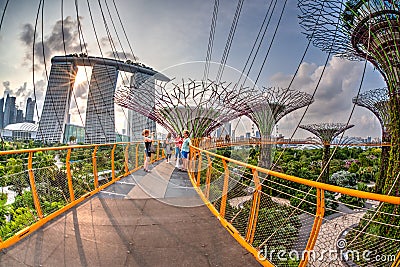 Sunset View of Supertree Grove at Gardens by the Bay Editorial Stock Photo