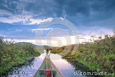 Sunset view whilst looking for Shoebill storks Balaeniceps rex bird in Mabamba Swamp from a little wooden fishing boat Stock Photo