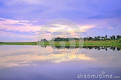 Sunset view whilst looking for Shoebill storks Balaeniceps rex bird in Mabamba Swamp from a little wooden fishing boat Stock Photo